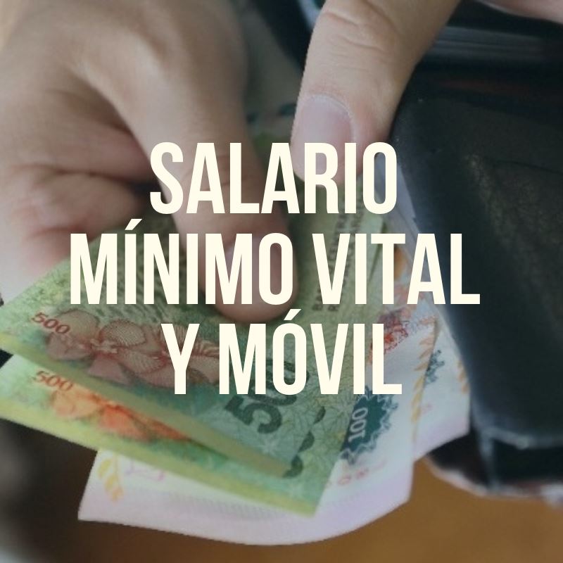 Salario Mínimo Vital Y Móvil Histórico Ignacio Online 