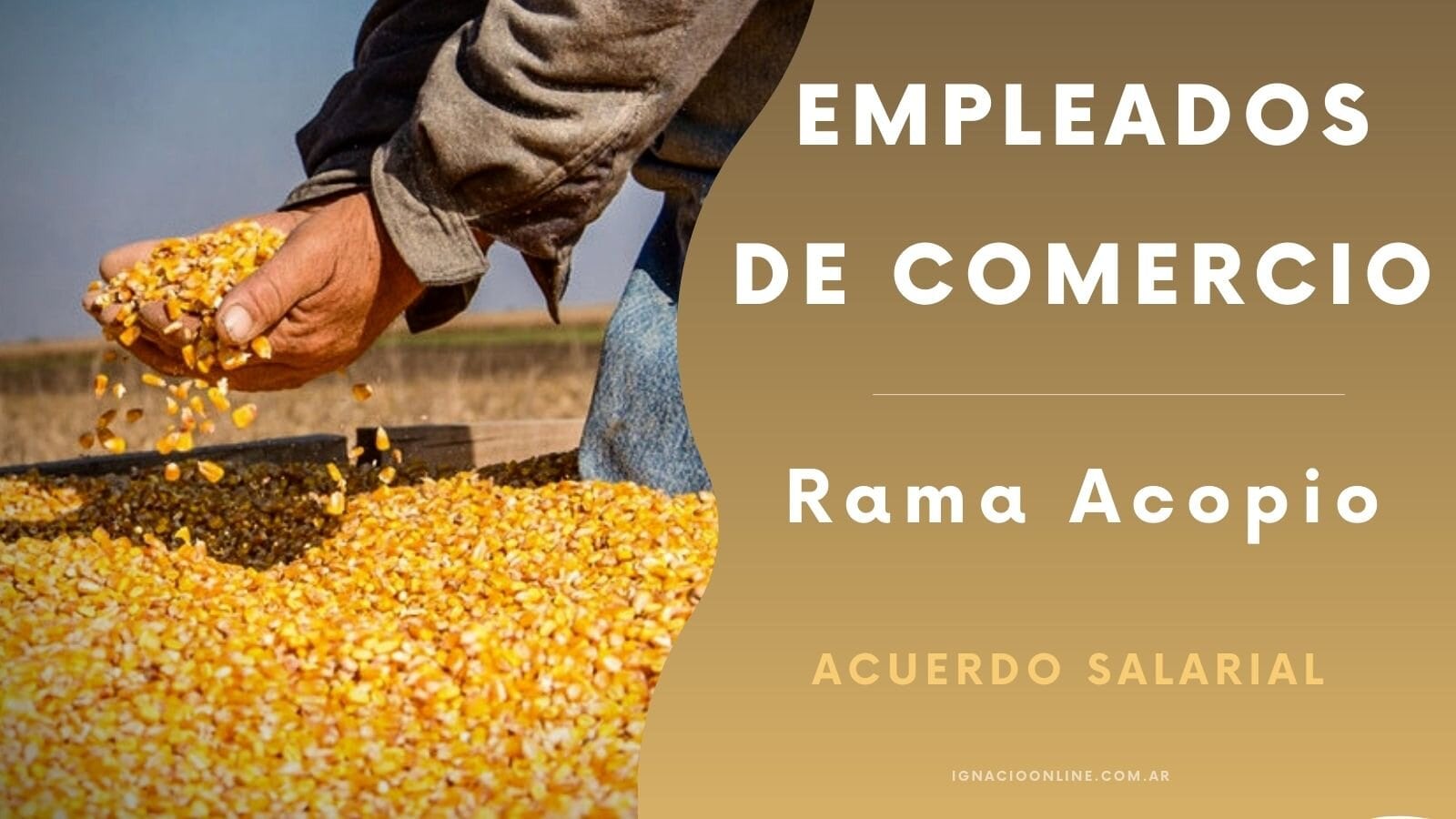 Empleados de Comercio rama acopio escalas salariales enero 2024